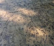 Stamped and Colored Concrete